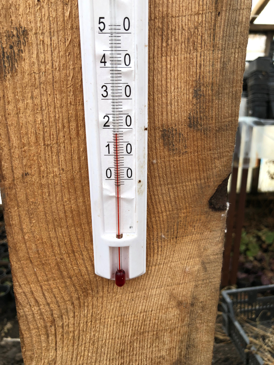 Температура в теплице