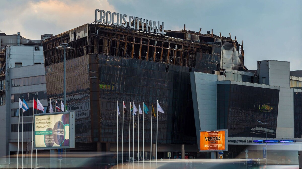    Фото: Studio MDF/Shutterstock/Fotodom