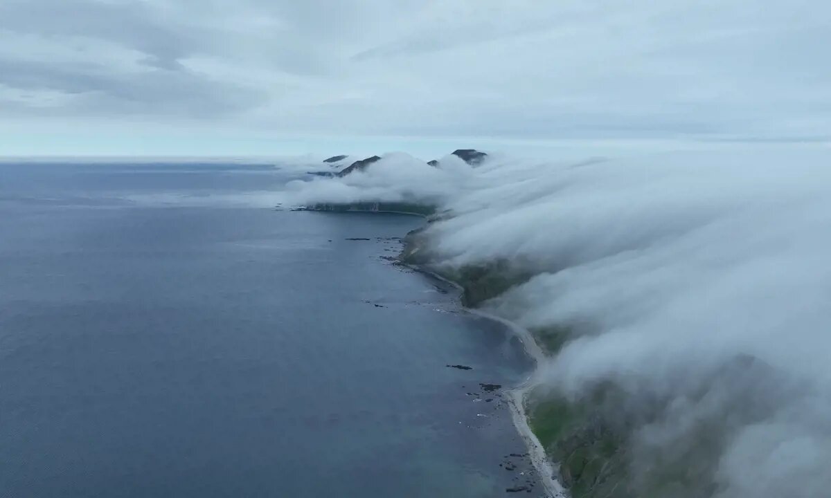 Остров Медный (Командорские острова). Скриншот видео Евгения Мамаева