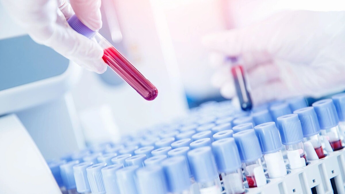    Фото: Parilov/Shutterstock/Fotodom