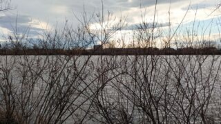    фото: Лера Тарханова Людмила Лата