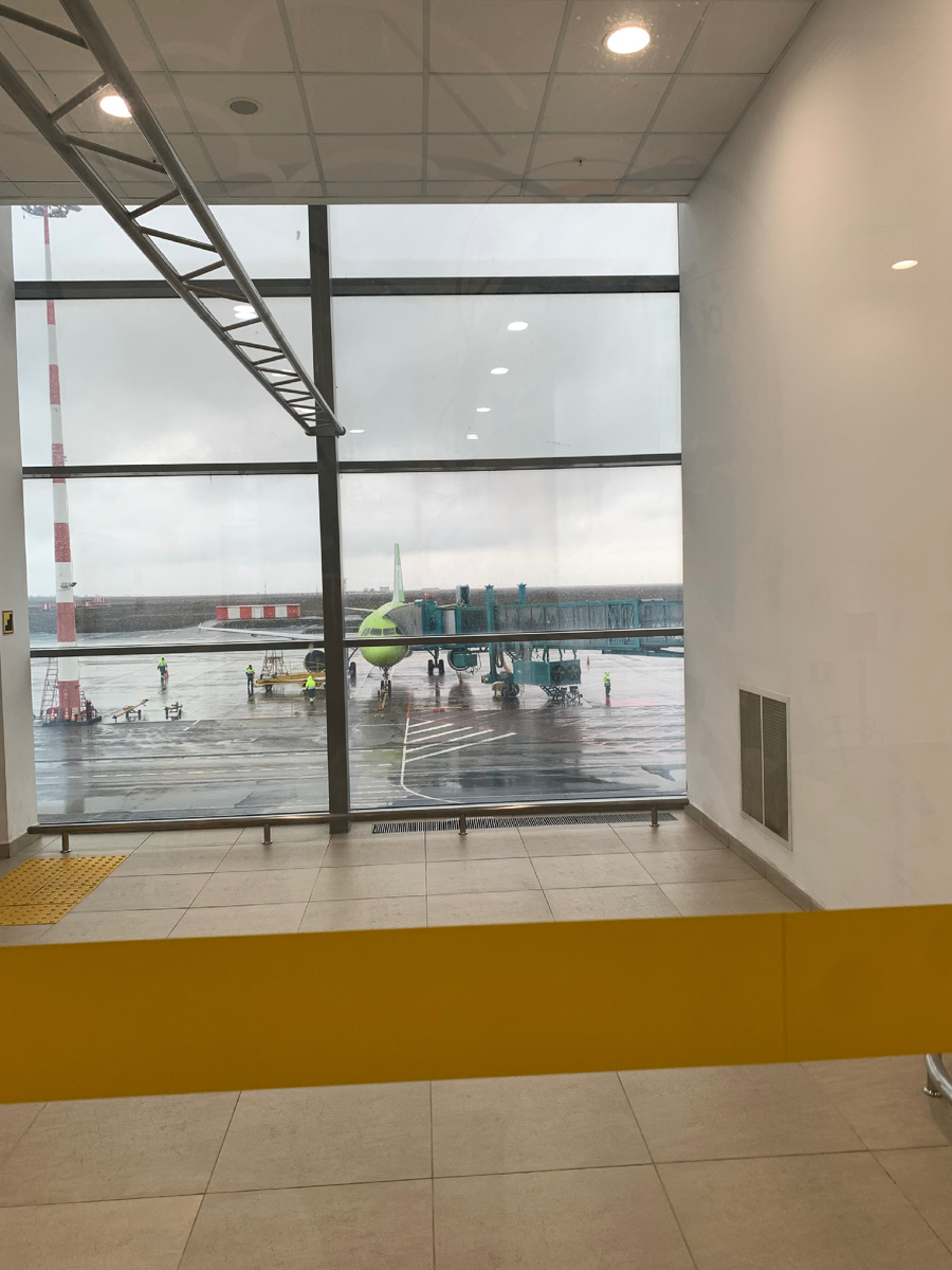 У S7 самолеты зеленые