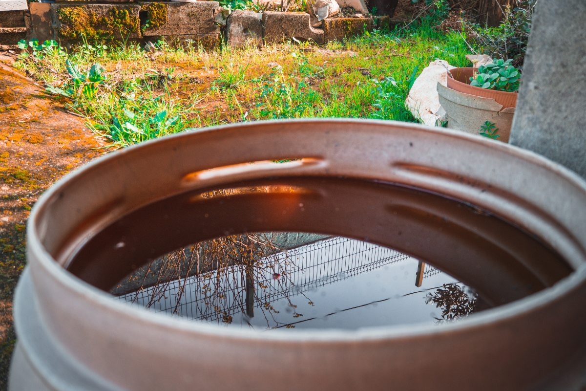    Фото: wirestock / Freepik.com