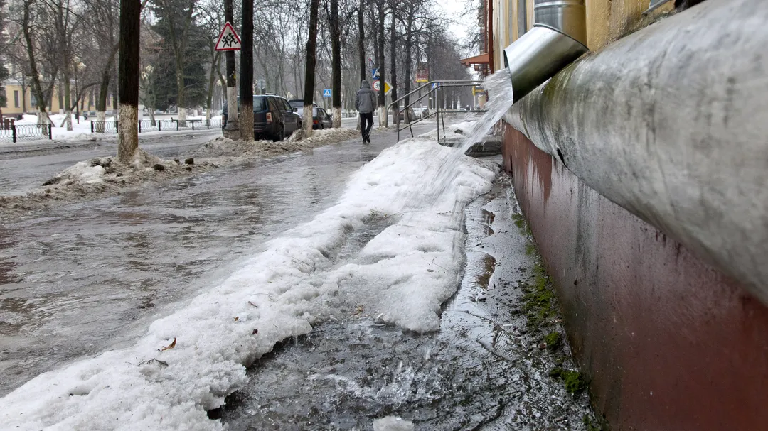 Фото: медиасток.рф