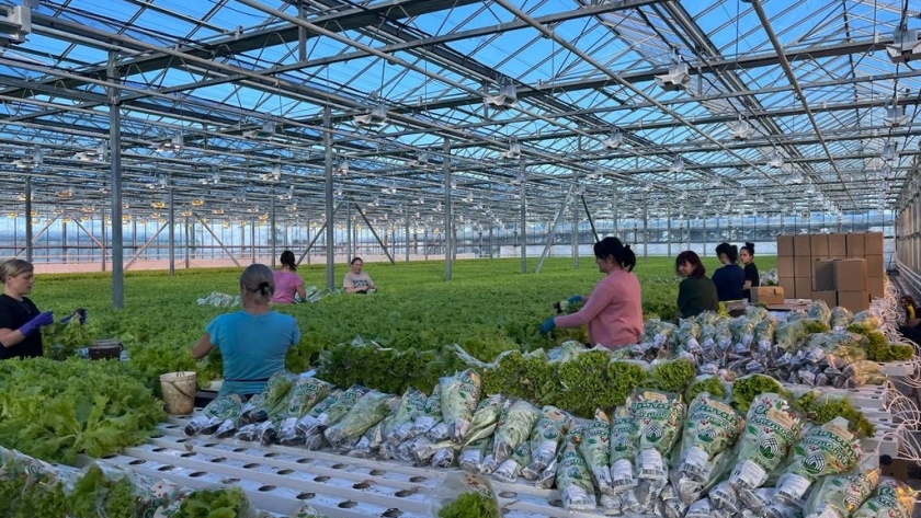    Фото из архива редакции