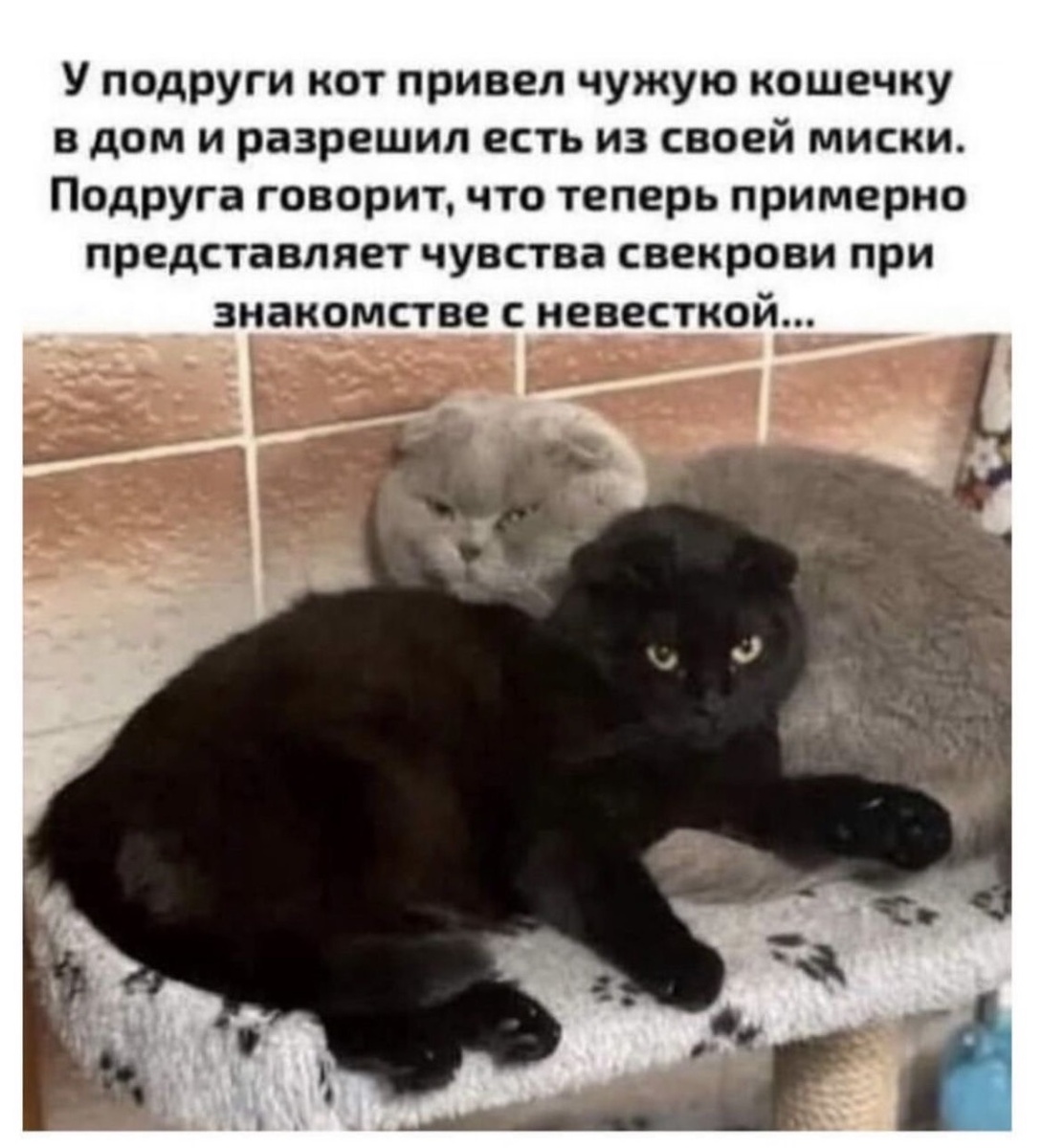 В качестве актёров выступают Максим и Есения