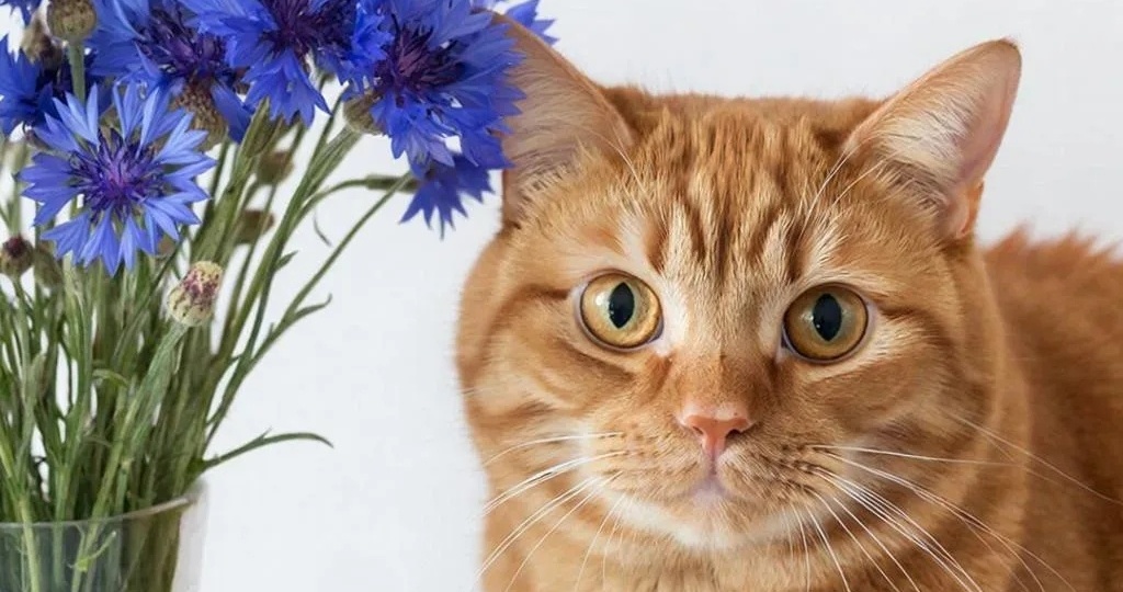 Спешил мужик на базар, да неожиданного заметил странную грустную бабушку у храма.