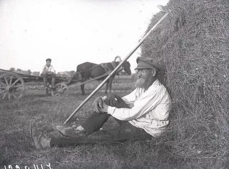 Взято из открытых источников интернета Яндекс.