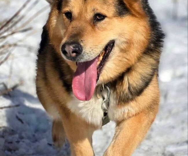 Джан воплощение мужества и харизмы 🥰