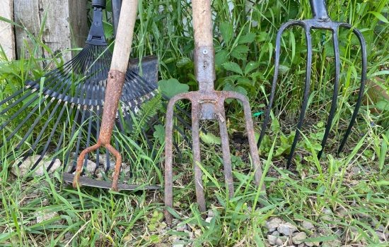    ИА "Орелград"