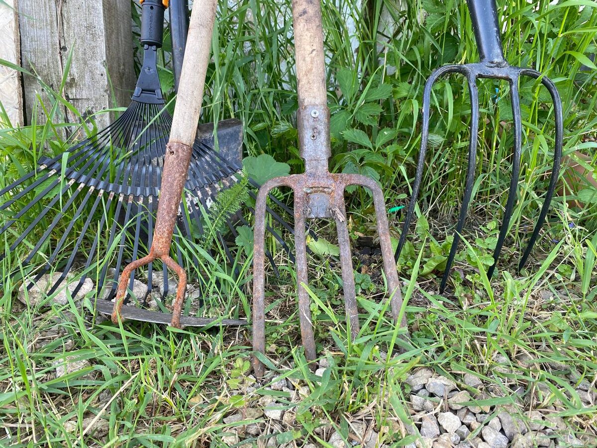    ИА “Орелград”