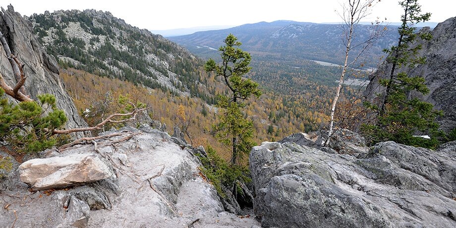    Фото: РИА Новости/Александр Кондратюк