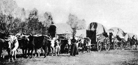 Переселенцы на фургонах пересекают американский Запад. 1840-е годы.