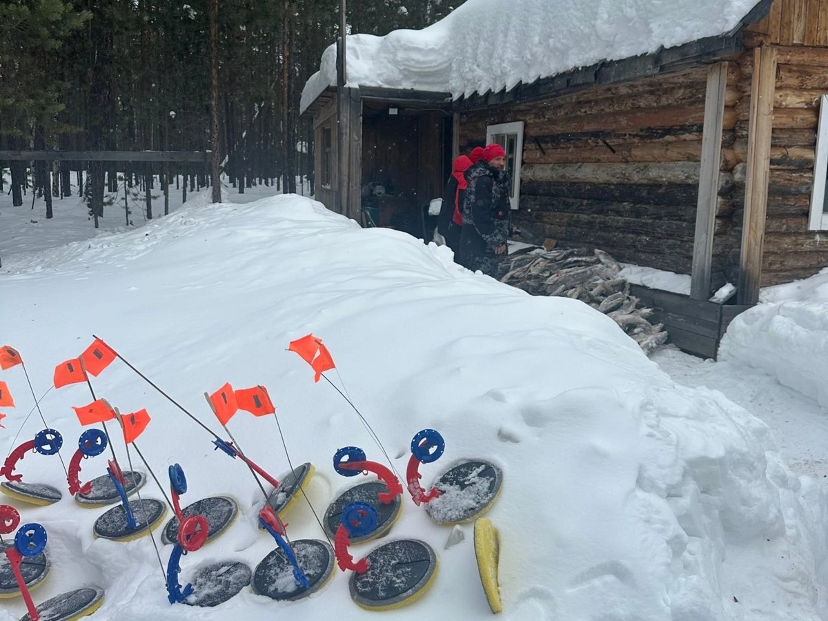 Листайте вправо, чтобы увидеть больше изображений