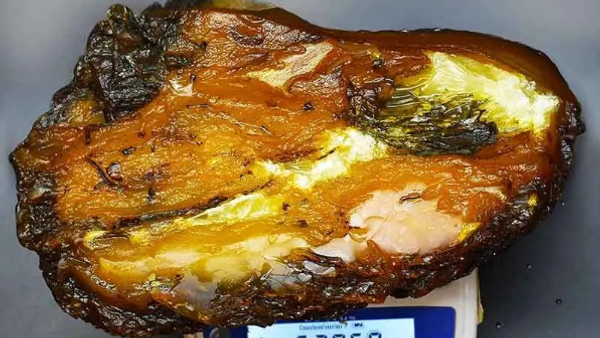    © Фото : Виталий Коваль/Фейсбук