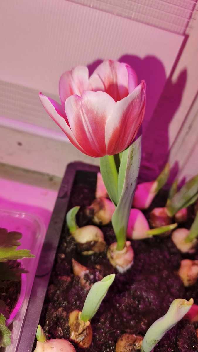 Личное фото с собственного архива 