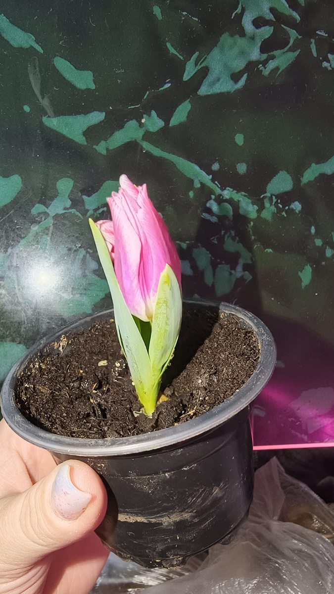 Личное фото из собственного архива.