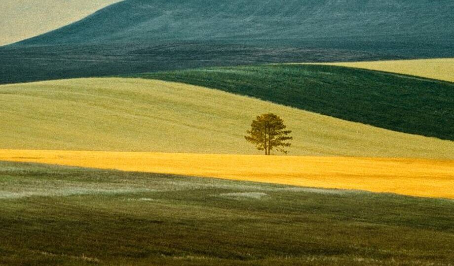 12 фото о том, как пейзажи могут быть абстрактными картинами