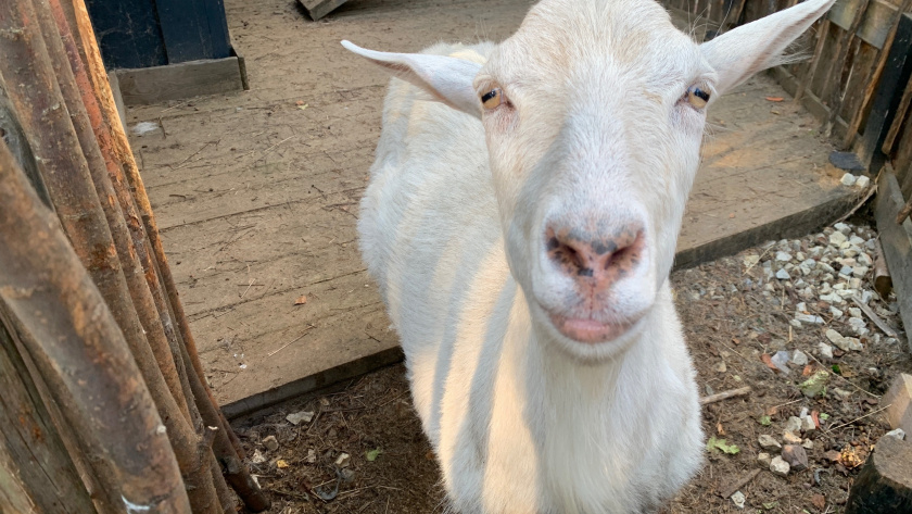    Фото из архива редакции