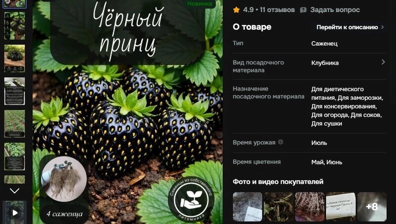    Клубника такого сорта существует, но она тёмно-красная, а не чёрная Фото: скриншот карточки товара на известном маркетплейсе
