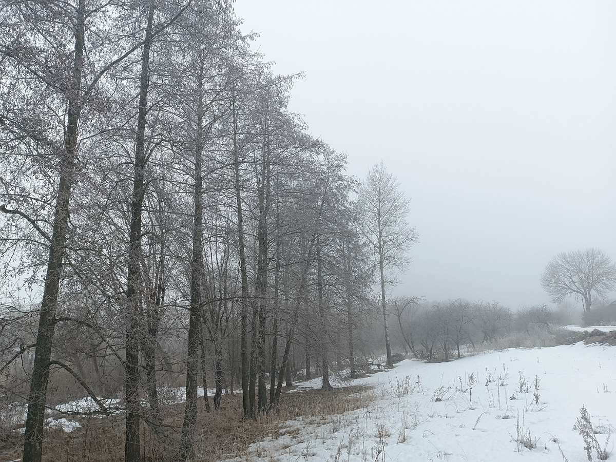 Туманно с утра