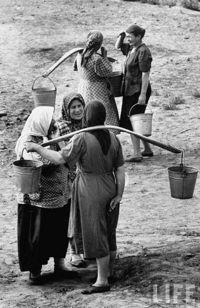 Взято из открытых источников интернета Яндекс.