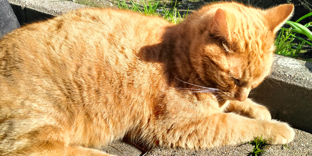 Этой ночью нас духовно перезагрузили!