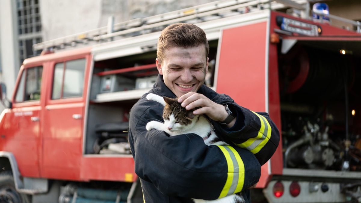    Фото несет иллюстративный характер