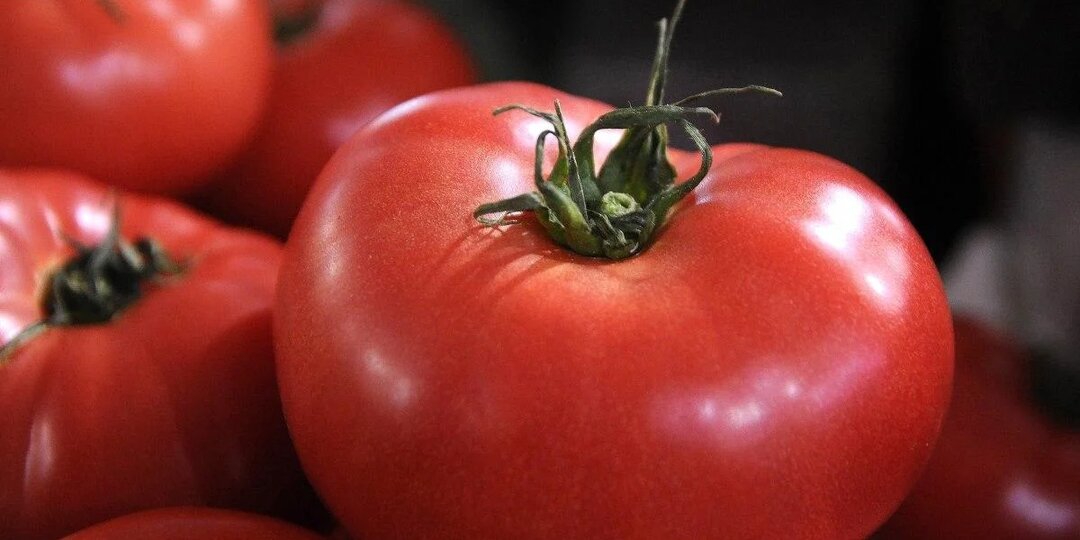 Магазинные помидоры станут сладкими и ароматными, как фермерские: куда их положить
