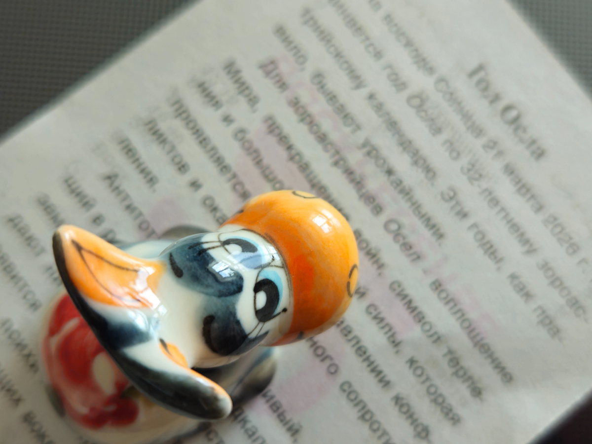 Фото: Марина Н. Макарова, Омск, 22март26