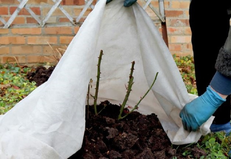 Укрытием снимаем без спешки. 