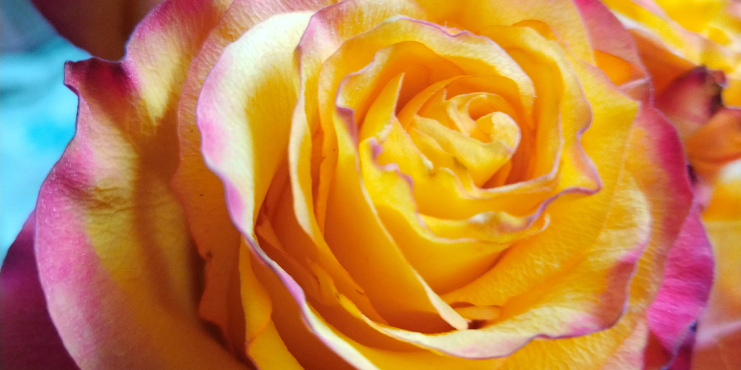 Неприятно как-то день начался