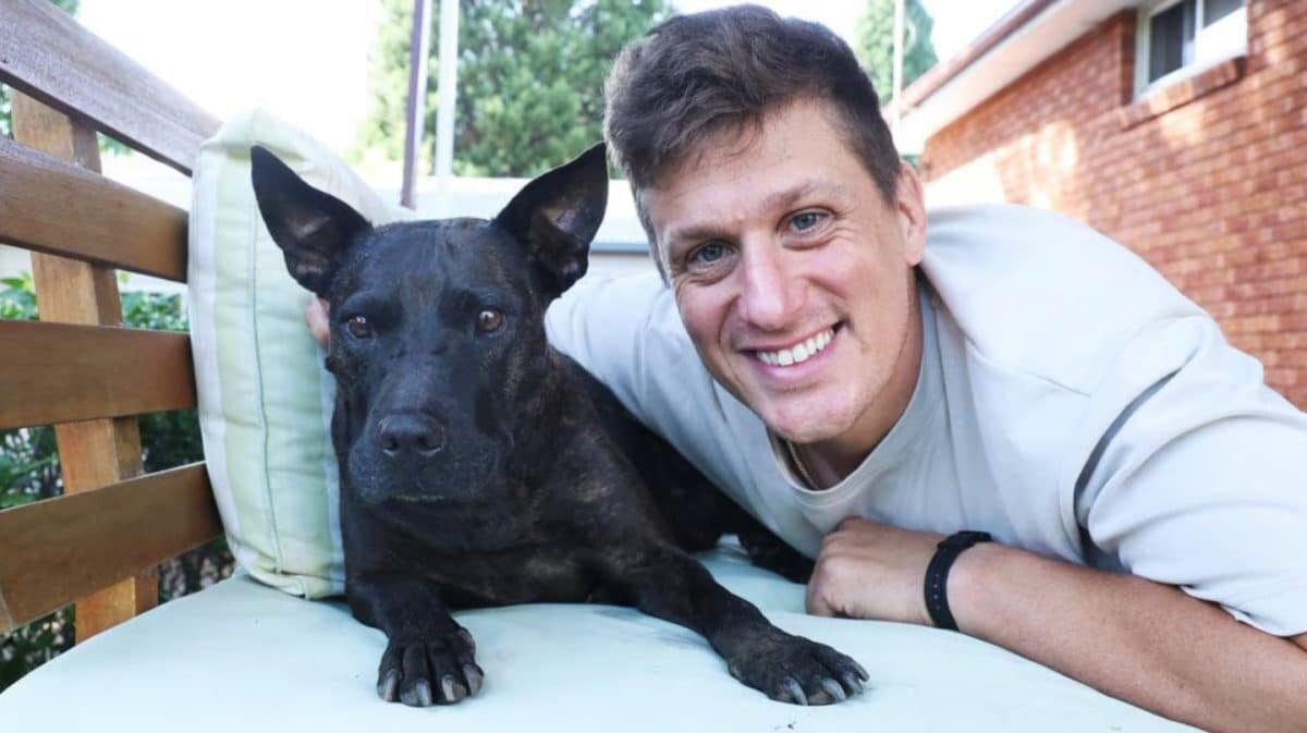    © paul_conyngham, социальная сеть X