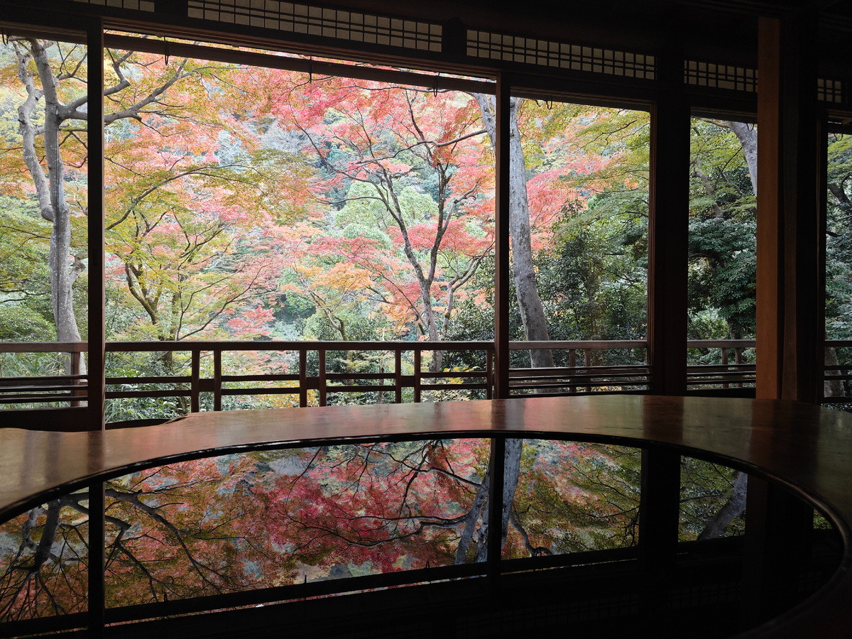 Ради такой красоты можно и под кленом поспать, конечно...