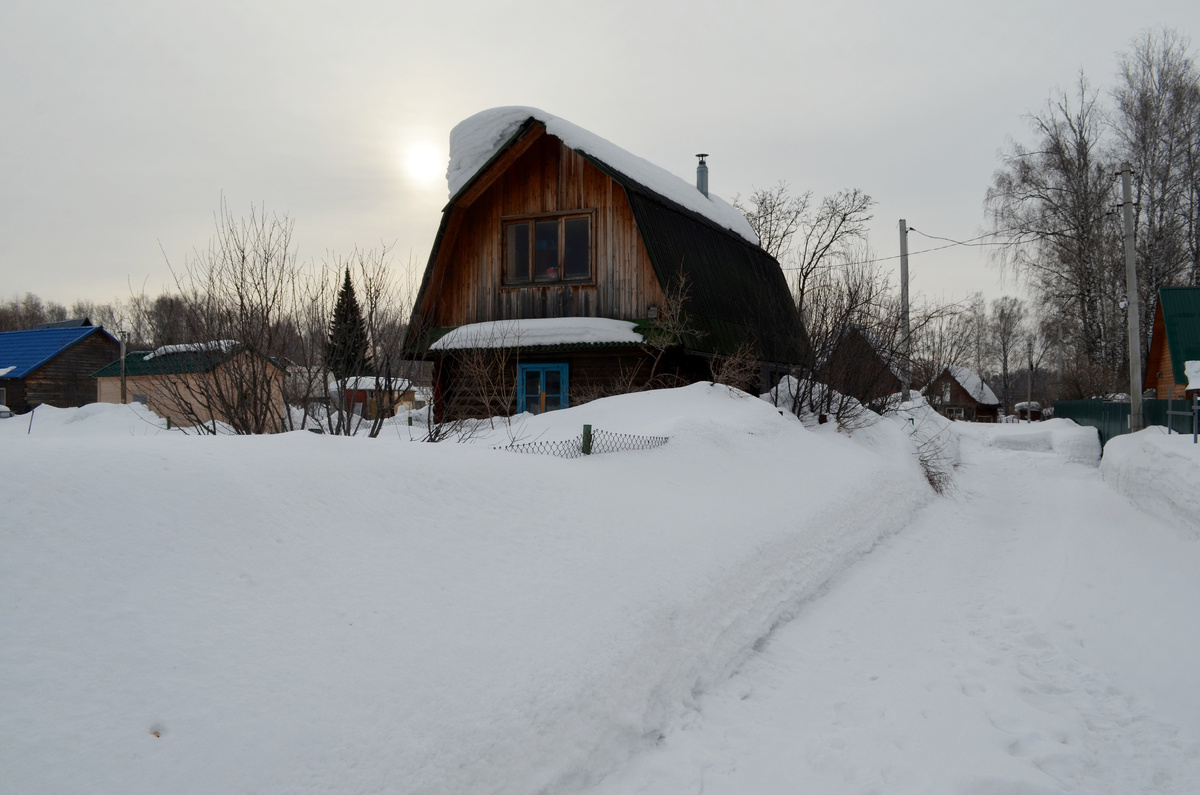 Рабица соседей