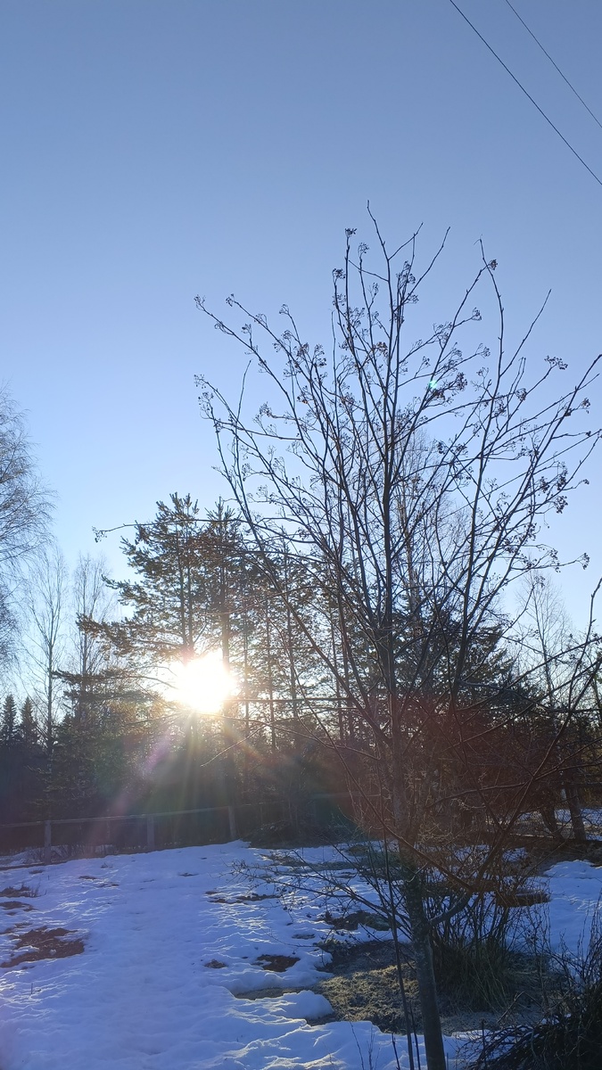 фото автора: каждое утро меня встречает вот таеое солнышко, когда нет ненастья