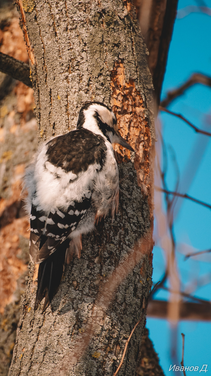 Фото - январь 2026