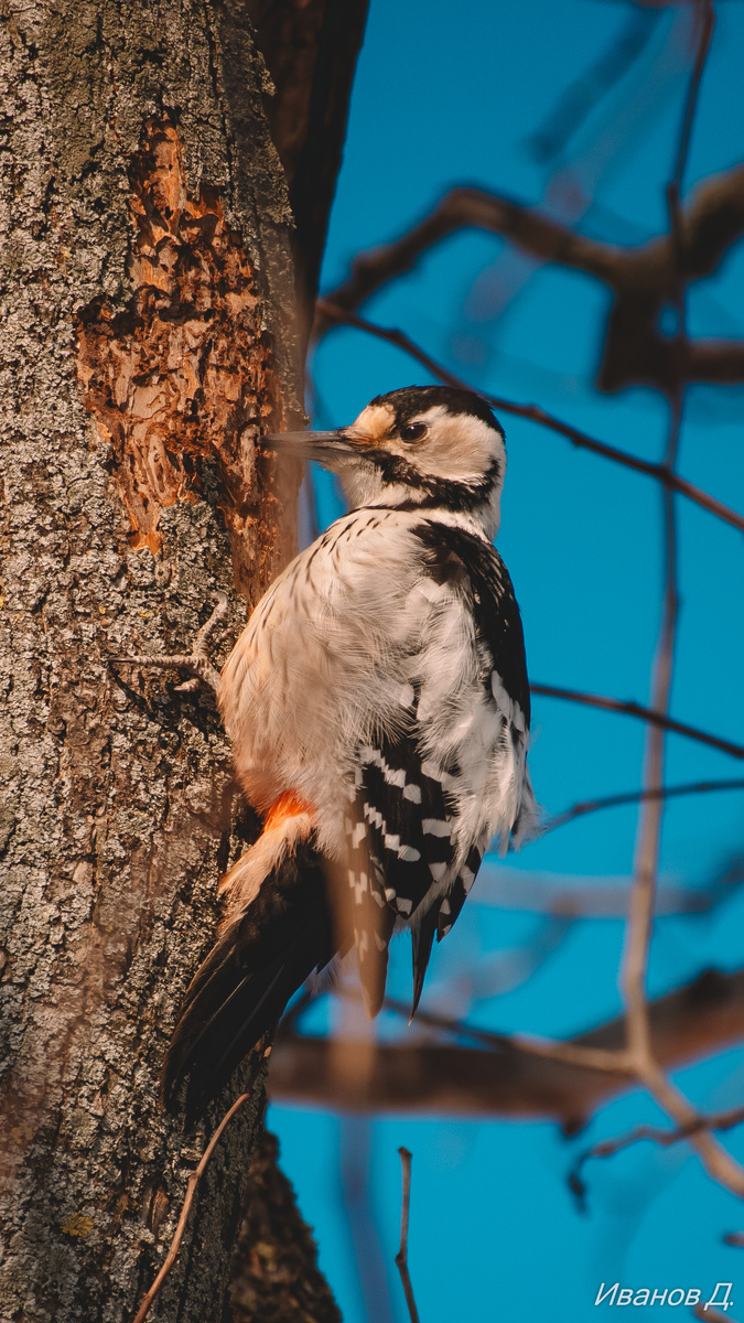 Фото - январь 2026