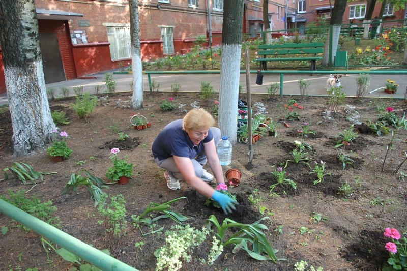 Огород во дворе многоэтажки - штраф от 5000 р.