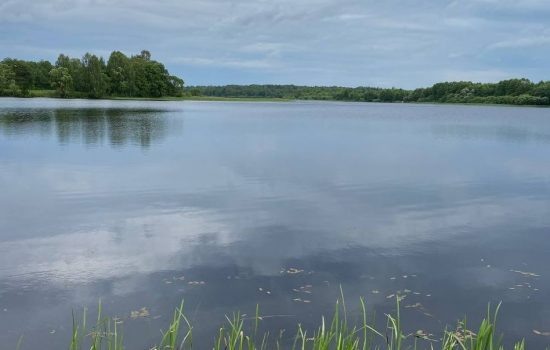    Фото: ИА "Орелград" / Светлана Числова