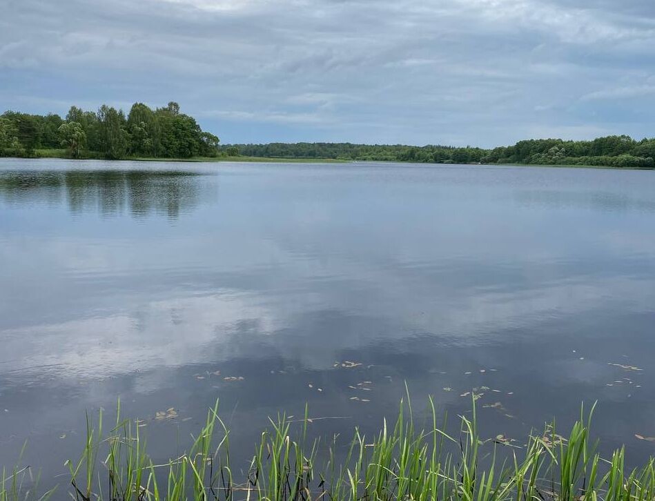    Фото: ИА “Орелград” / Светлана Числова