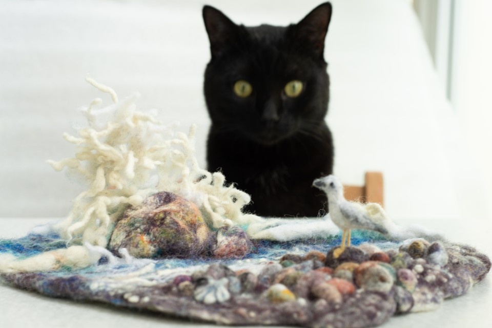    В свободное время Микеша помогает хозяйке в ее творчестве. Фото: Из семейного архива Л. Празукиной-Покровской