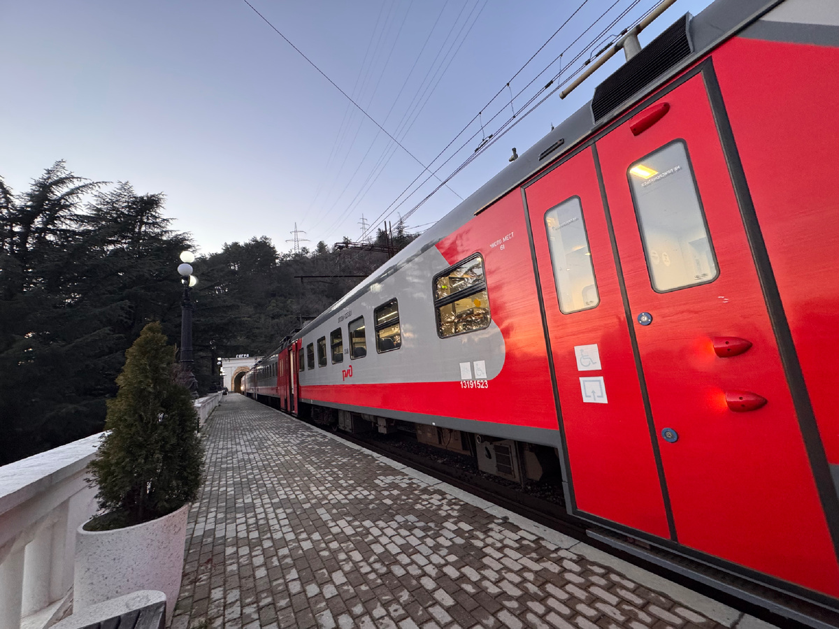 Поезд «Диоскурия»