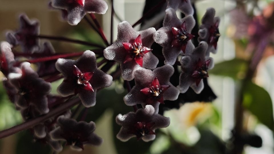 Доброе утро