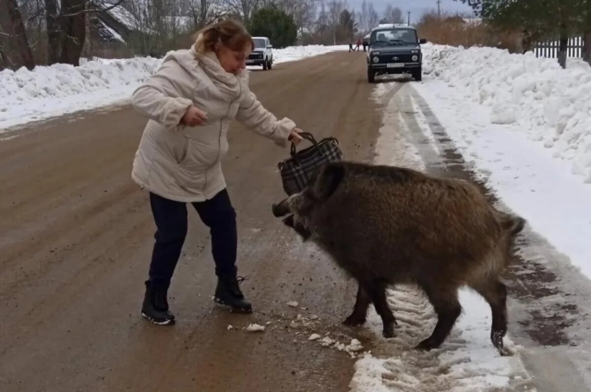    Тверские биологи рассказали, есть ли шансы на жизнь в лесу у спасенной Чуни
