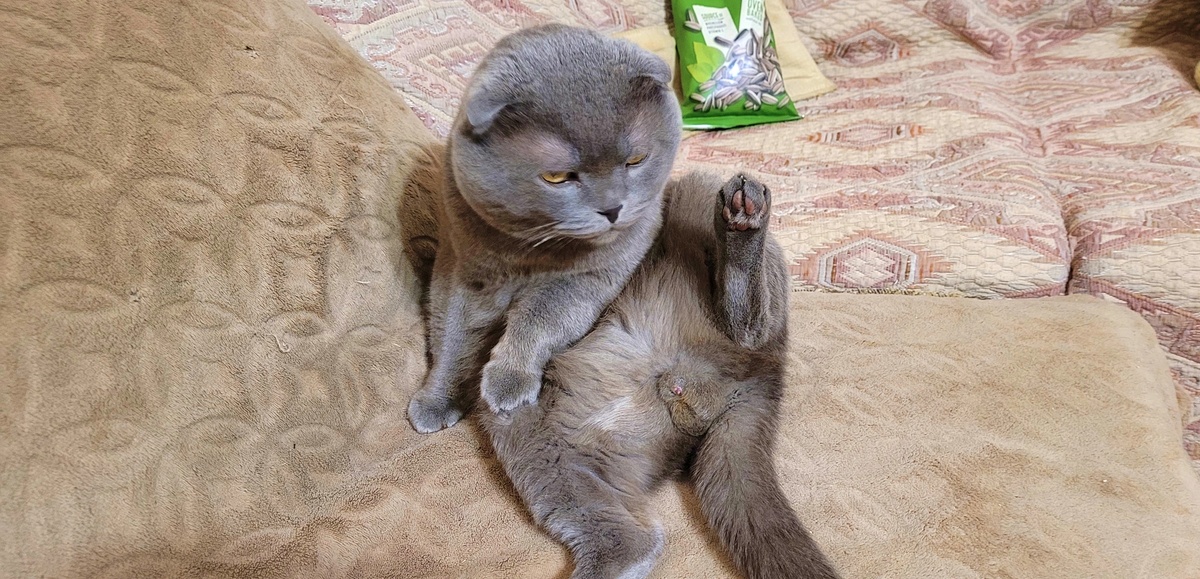 Привет всем от Дарса