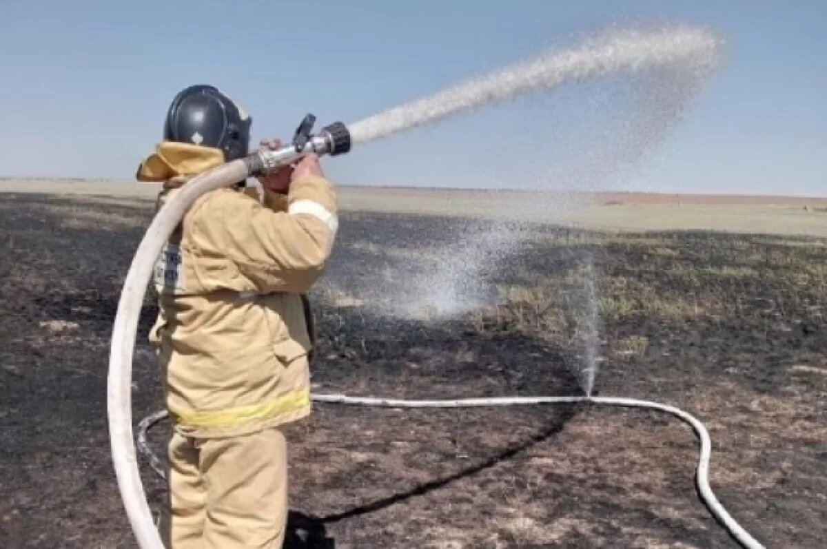    В Ростовской области за неделю провели 250 выжиганий сухой растительности