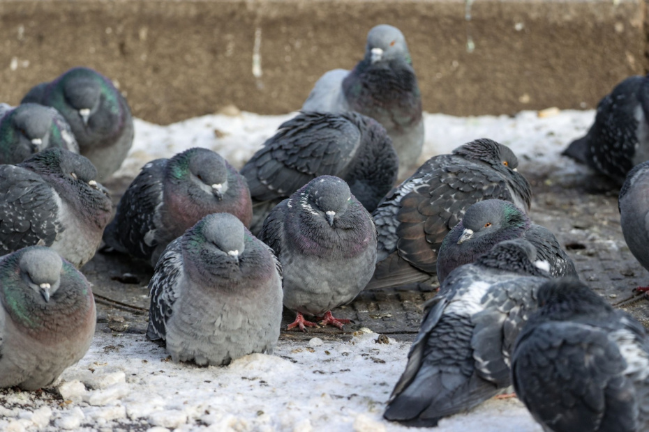    Сергей Лантюхов/NEWS.ru