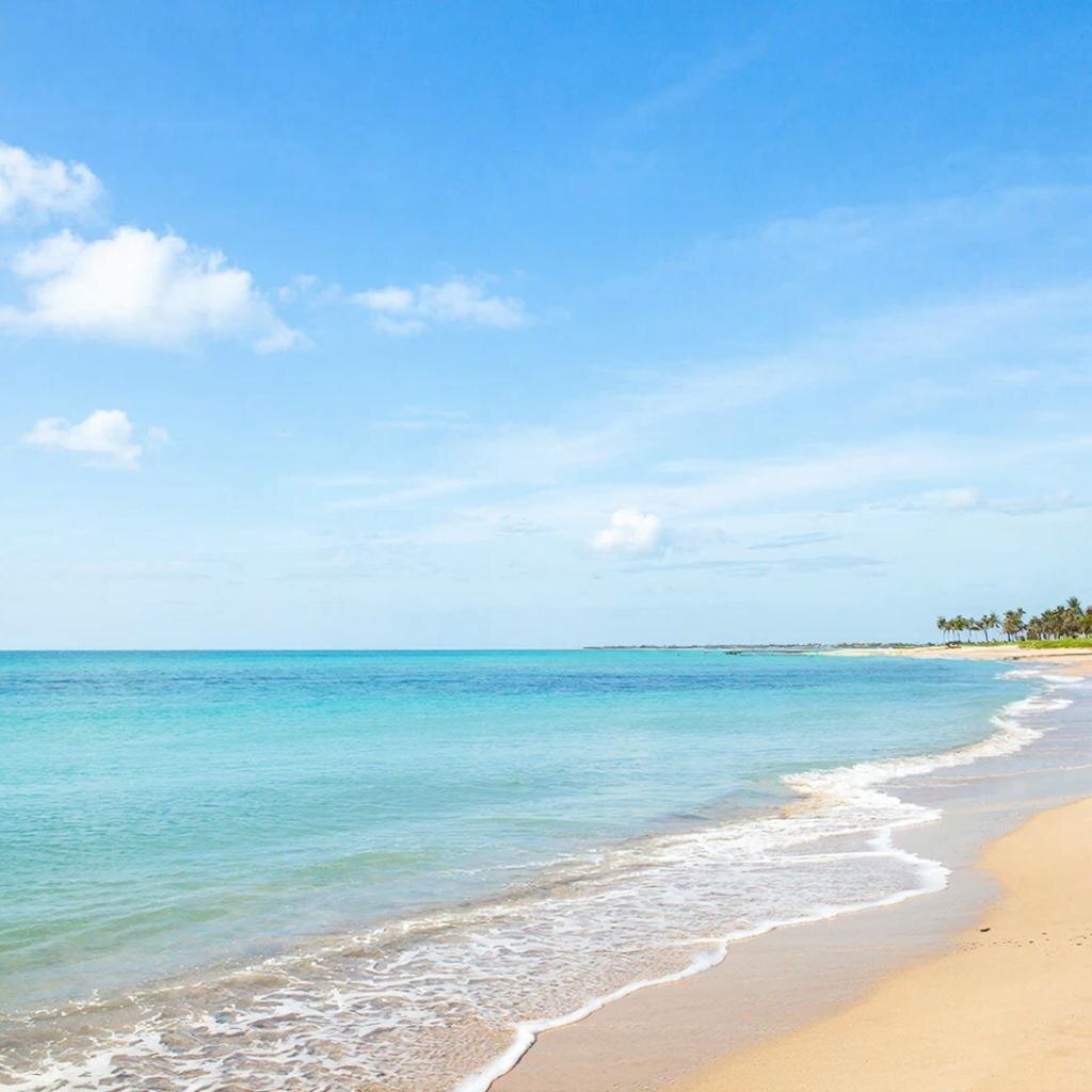 Что вы обычно делаете, когда приезжаете на море? 