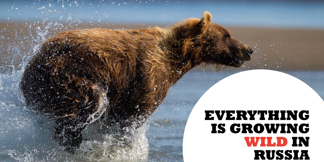 #1. Как превратить бизнес-презентацию в легкий эмоциональный рассказ